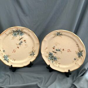 Mikasa: Garden Club DAY DREAMS (EC 461) Dinner Plates- lot of 2- 10 3/4" length